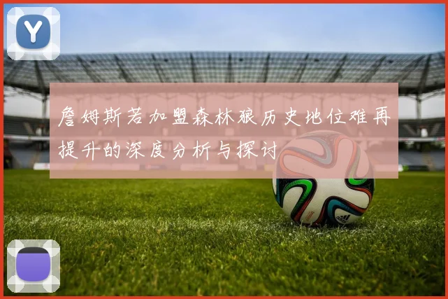 詹姆斯若加盟森林狼历史地位难再提升的深度分析与探讨