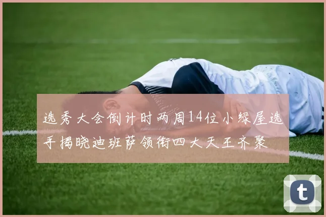 选秀大会倒计时两周14位小绿屋选手揭晓迪班萨领衔四大天王齐聚