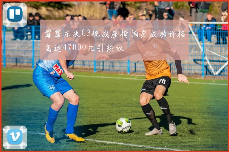 霉霉东决G3观战座椅拍卖成功价格高达47000元引热议